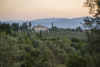 Tuscan landscape at sunrise, country estate with a farm house, vineyards, forests, olive trees and