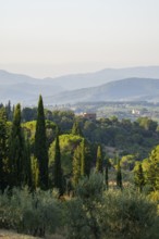 Tuscan landscape, country estate with, cypress trees in Chianti, Chianti Region, Tuscany, Italy,