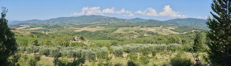 Tuscan landscape, country estate with vineyards, forests, olive trees and cypresses in Chianti,