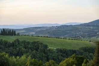 Tuscan landscape next to greve in Chianti and Montefioralle, country estate with vineyards,