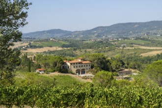 Tuscan landscape, Farm house, country estate with vineyards, forests, olive trees and cypresses in