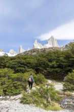 Laguna de los Tres Trail, Mount Fitz Roy, El Chaltén, Santa Cruz Province, Argentina, South America