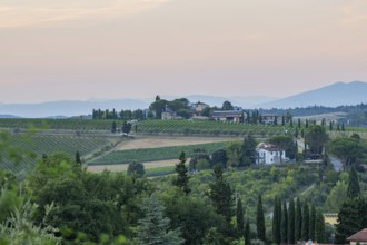 Tuscan landscape next to greve in Chianti and Montefioralle, country estate with vineyards,