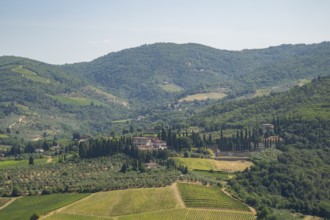 Tuscan landscape, country estate with vineyards, forests, olive trees and cypresses in Chianti,