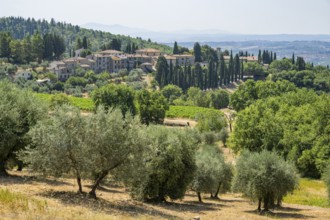 Tuscan landscape, country estate with vineyards, forests, olive trees and cypresses in Chianti,