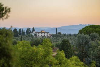 Tuscan landscape at sunrise, country estate with a farm house, vineyards, forests, olive trees and