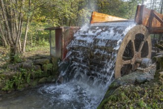 Old waterwheel on the Trubach, Egloffstein, Upper Franconia, Bavaria, Germany, Europe