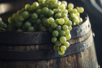 Close up of fresh green grapes on wooden barrel . Generative AI, AI generated