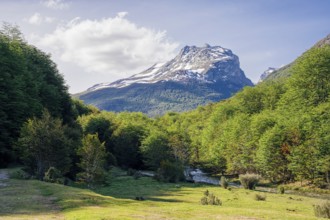 Tierra del Fuego National Park, National Route 3, Ushuaia, Tierra del Fuego Province, Argentina,