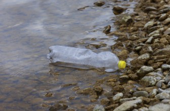 Environmental pollution, Plastic bottle washed up on the lake shore, Austria, Europe