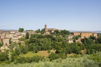 Basilica di San Clemente, historical, building, alley, Siena, Tuscany, Italy, Europe