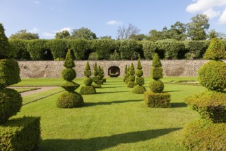 Boxwood cut into shapes in the baroque garden of Hundisburg Castle, Haldensleben, Saxony-Anhalt,