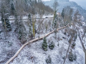 Snow-covered trees in the forest with wooden footpath and passing car, New wooden footbridge in