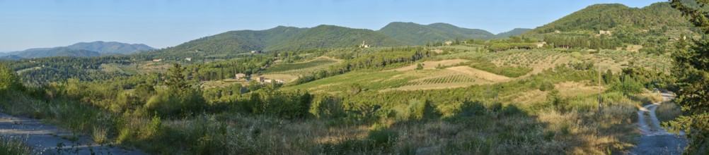 Tuscan landscape, country estate with vineyards, forests, olive trees and cypresses in Chianti,