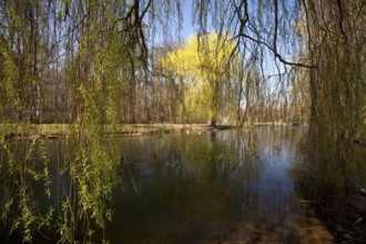 The river Lippe at Laumannshügel in Lippstadt in the district of Soest in spring, North