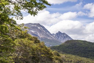 Senda Costera hiking trail, Tierra del Fuego National Park, National Route 3, Ushuaia, Tierra del