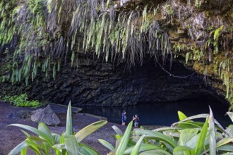 Grotto, filled with water, plants, different, various, three tourists, Grottes De Mara'a, Paea,