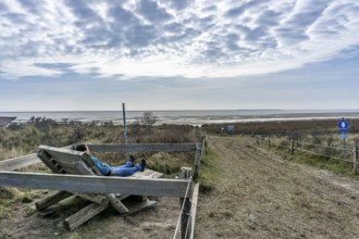 The East Frisian North Sea island of Juist in winter, marsh meadows in the west of the island,