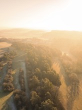 Morning light over a forest landscape with warm colours and a peaceful atmosphere, Gechingen,