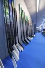 Ice hockey sticks in different colours leaning neatly against a wall in a hall, Heilbronner Falken