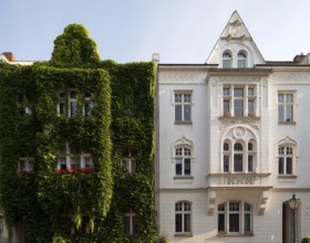 Wilhelminian style house facades, House covered with ivy