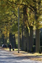 100-year-old oak trees on the west side, wooden lampposts