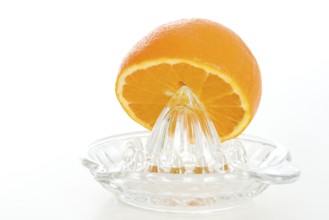 Orange and juicer, juicer, orange juice, 'fruit, fruits