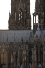 Cologne, View of the cathedral from the right bank of the Rhine, detail