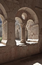 Cistercian monastery founded in 1146, cloister north wing biforium with view through to the west