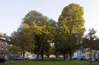 Krefeld, Hohenzollernstraße, view to the south