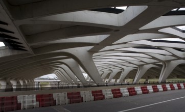 Lyon, Gare de Saint-Exupéry TGV, (formerly Gare de Satolas)