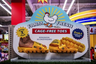 Free-range toes in egg cartons, surreal art at the Meow Wolf Museum, Area 15, Las Vegas, Nevada,