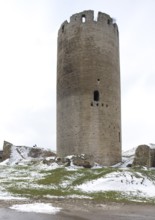 Tower Dicker Heinrich