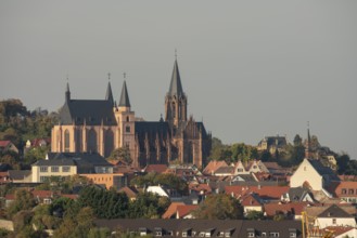 Oppenheim, St Catherine's Church, distant view from the south