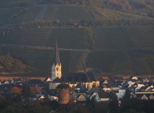 View from the south from the vineyards, St., Sankt, Saint