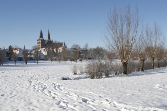 Lower Rhine landscape with willows in the snow, St., Sankt, Saint