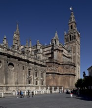 Seville, Cathedral. Seville Cathedral with bell tower, St, Saint, Saint