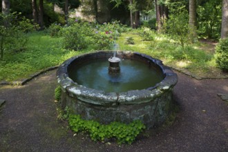 Forest Cathedral (open-air church), Fountain, St., Saint, Saint