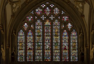 Wells, Cathedral, Jesse window in the choir