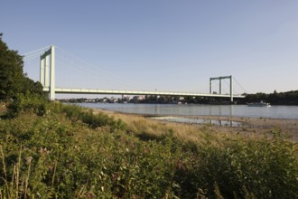 Rhine bridge Cologne-Rodenkirchen, view from the right bank of the Rhine