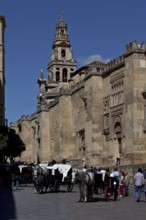 Mezquita-Catedral de Córdoba, south-west facade of the mosque, bell tower behind, St., Saint, Saint