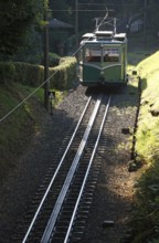 Königswinter, Drachenfels railway