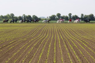 Equestrian procession on Ascension Day