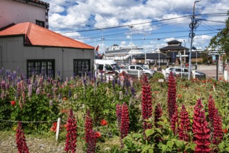 City centre with harbour view, Ushuaia, Argentina, South America