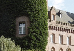 Window in the north tower with ivy