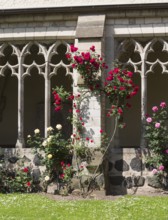 Cloister with roses, St., Saint, Saint