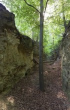 Medieval Kapfelberg quarry, Teugn, where stones were quarried for cathedral construction in the