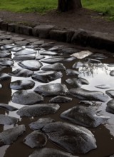 Street scene with antique paving in a puddle