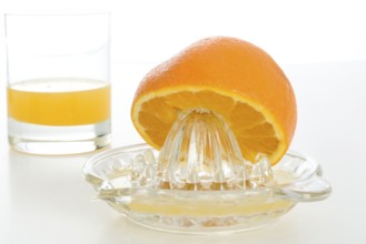 Orange and juicer, juicer, orange juice, 'fruit, fruits