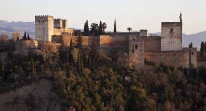 Alcazaba fortress from the north-west